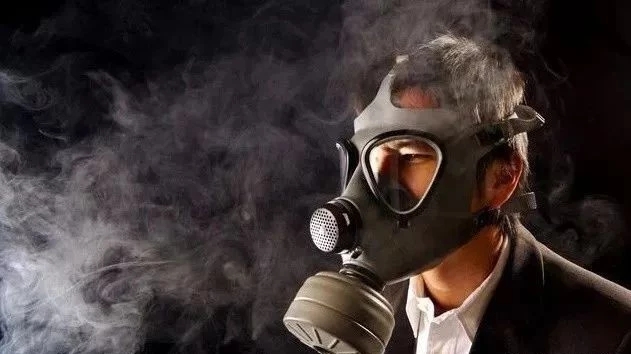 佛山廚房除甲醛適合放的植物-新房裝修除甲醛方法和注意地方 新房裝修除甲醛方法