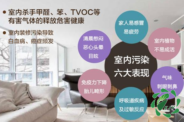 甲醛真可怕，貼壁紙竟然也會(huì)導(dǎo)致甲醛中毒